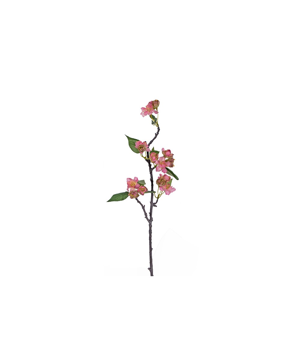 HOMEGURU-AX455 Μινι αμυγδαλιά, ροζ ανθη, 50cm