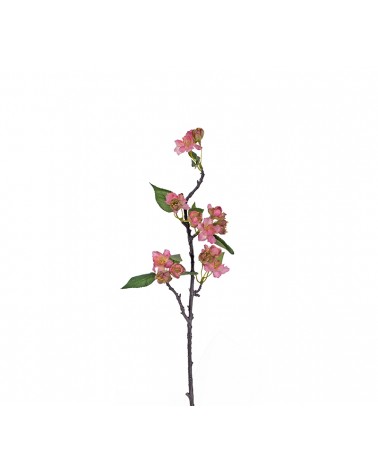 HOMEGURU-AX455 Μινι αμυγδαλιά, ροζ ανθη, 50cm