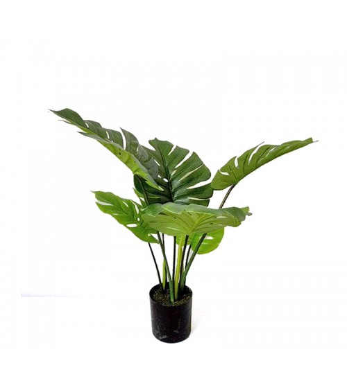 HOMEGURU-FL154 Φυτό Monstera σε κασπώ, 60cm