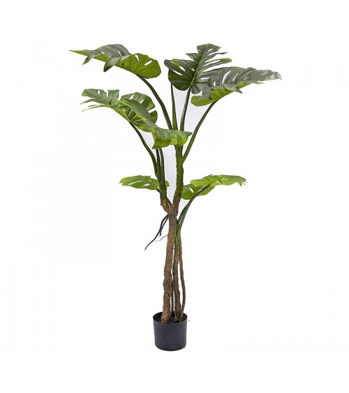 HOMEGURU-FL155 Φυτό Monstera σε κασπώ, 130cm