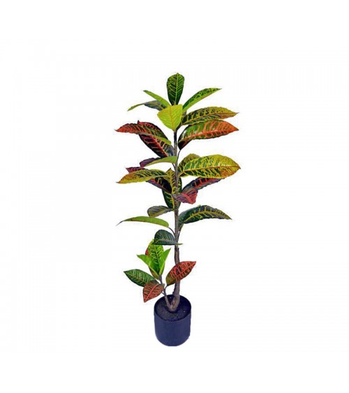 HOMEGURU-FL161 Φυτό Κρότωνας, σε κασπώ, 105cm