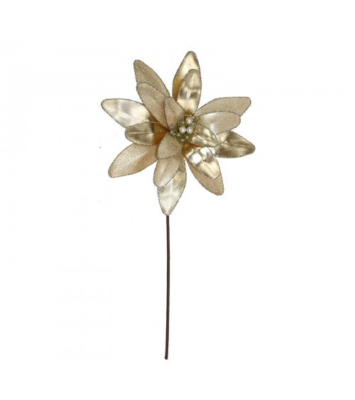 HOMEGURU-AX799 Poinsettia flower champagne/gold,d.28cm