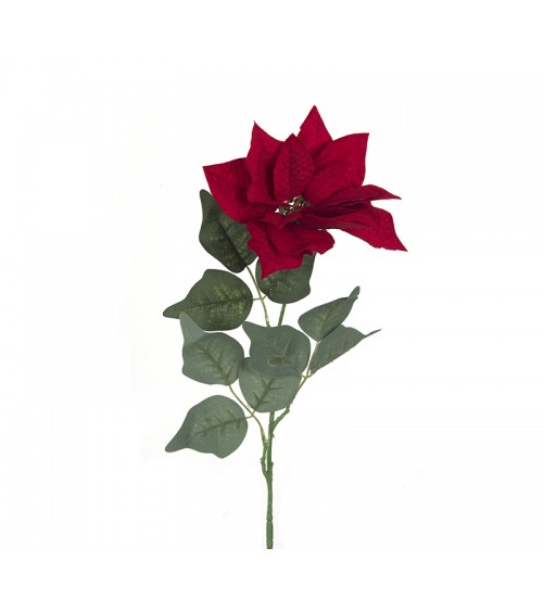 HOMEGURU-AX405 Αλεξανδρινό λουλούδι σε βαθύ κόκκινο χρ.